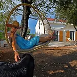 Hvar Cricket House Pakleni Island Hvar Town