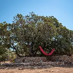 וילה Hvar Cricket House Pakleni Island *