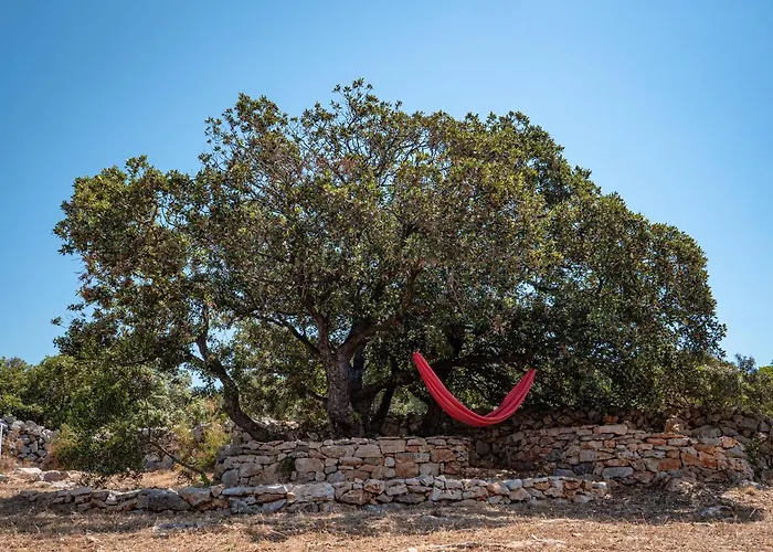 Villa Hvar Cricket House Pakleni Island *