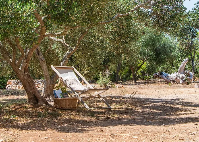 Hvar Cricket House Pakleni Island Hvar Town