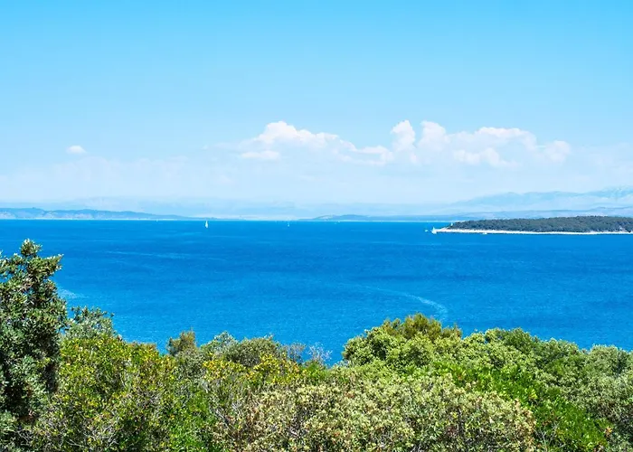 Hvar Cricket House Pakleni Island Villa Hvar Town