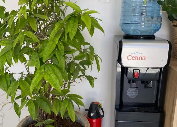 Hvar Cricket House Pakleni Island Villa *