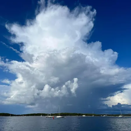 Villa Hvar Cricket House Pakleni Island Hvar Town